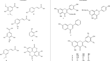 research paper hepatoprotective activity