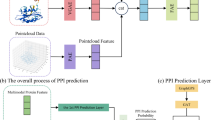 DSS-PPI: a self-supervised graph learning framework for protein-protein ...