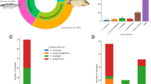 Antimicrobial susceptibility and serotyping of Listeria monocytogenes ...