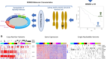 Multiple myeloma risk linked to DNA damage response genes | Journal of ...