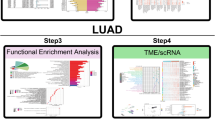 CLEC3B as a potential diagnostic and prognostic biomarker in lung ...