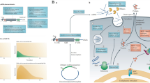 Advances and applications of RNA vaccines in tumor treatment ...