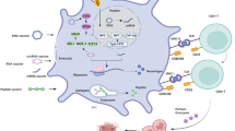 RNA-based cancer vaccines: mechanisms, clinical progress, and ...