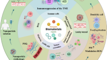 Bacteria-based immunosuppressive tumor microenvironment reprogramming ...