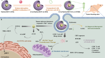 An oxygen-generating nanoplatform remodels the immunosuppressive tumor ...