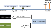 Comparison of the Long-Acting GnRH Agonist Follicular Protocol with the ...