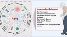presentation of free radicals presentation of free radicals