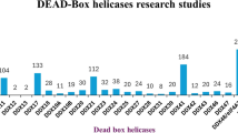 A FRET-Based, Continuous Assay for the Helicase Activity of DEAD-Box ...