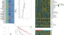 Multi-omics integration and machine learning define robust molecular ...