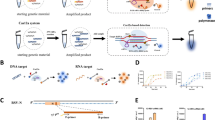 Establishment of RT-RPA-Cas12a assay for rapid and sensitive detection ...