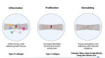 bpc-157 fak paxillin BPC-157 Binding to SH3 Domains and Activation of Src Family Kinases: In  Silico Modeling and Fluorescent Fusion Protein Productio main image 0