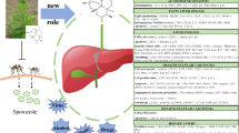 Artemisinin and its derivatives throughout the therapeutic mechanisms ...