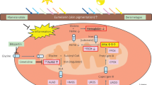 Pharmacokinetics and Pharmacodynamics of Afamelanotide and its Clinical Use  in Treating Dermatologic Disorders | Clinical Pharmacokinetics | Springer  Nature Link