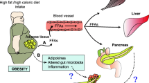 glp 1 and prostate cancer Targeting obesity, metabolic syndrome, and prostate cancer: GLP-1 agonists  as emerging therapeutic agents | Discover Oncology