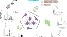 Characterization of a recombinant mu-class glutathione S-transferase from  Taenia solium | Parasitology Research | Springer Nature Link