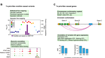 Identification and Validation of Candidate Genes from Genome-Wide ...