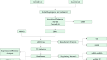 Proteomic analysis of mitochondria associated membranes in renal ...
