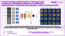 Deep learning-based MRI model for predicting P53-mutated hepatocellular ...
