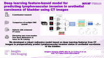 An interpretable machine learning model based on CT imaging for ...