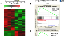 research paper on expression of genes