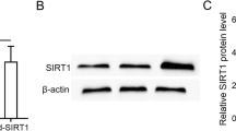 stem cells term paper