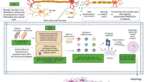 Muscle Fibrosis in Amyotrophic Lateral Sclerosis: Molecular Mechanisms ...
