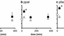 tesamorelin ipamorelin cjc 1295 blend dosage cjc 1295 ipamorelin blend 5 5mg dosage Peptide Cjc 1295 No Dac Dosing  Protocol