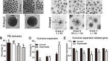 glyphosate depletes glutathione Re-Evaluating the Use of Glyphosate-based Herbicides: Implications on Fertility | Reproductive Sciences pimples soap
