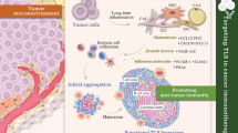 Tertiary Lymphoid Structure Formation and Function in the Tumor ...