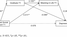 Perceived social support and college student engagement: moderating ...