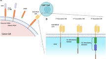 Mesothelin as a biomarker for targeted therapy | Biomarker Research