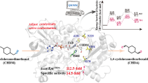 research paper on alcohol dehydrogenase research paper on alcohol dehydrogenase