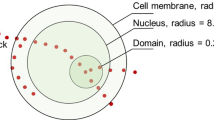 A GATE simulation study for dosimetry in cancer cell and ...