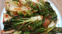 Primary perspectives towards kimchi as a beauty food enhancing collagen,  elastin, hyaluronic acid, and antioxidant enzymes in skin cells | Discover  Food | Springer Nature Link