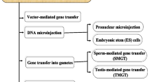 research paper on transgenic animals