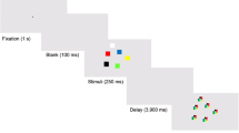 mind wandering pupil diameter mind wandering pupil diameter