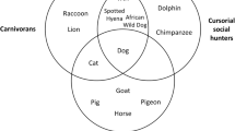 research on behavior of dogs