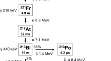 Volume 39, Issue 11 | Annals of Nuclear Medicine | Springer Nature Link