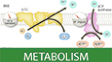 Volume 44, Issue 24 | The EMBO Journal | Springer Nature Link