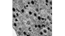 Volume 45, Issue 6 | The EMBO Journal | Springer Nature Link
