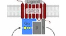 Volume 17, Issue 9 | EMBO Molecular Medicine | Springer Nature Link