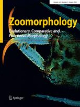 Anatomy vs physiology image