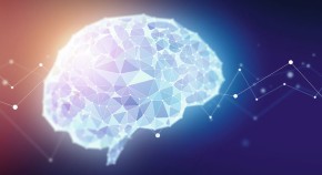 Pyroptosis In Cancer Research Highlights in 2026 | Nature Reviews Drug Discovery