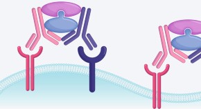 Pyroptosis In Cancer Research Highlights in 2026 | Nature Reviews Drug Discovery