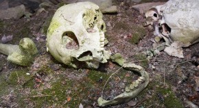 2023-04-24T00:00:00+08:00