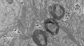 2023-05-04T00:00:00+08:00