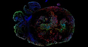 2023-05-11T00:00:00+08:00