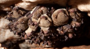 2023-05-08T00:00:00+08:00