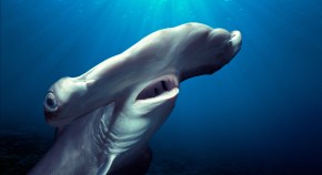 2023-05-11T00:00:00+08:00