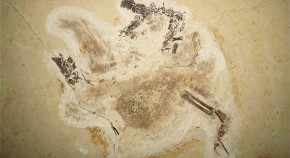 2023-05-12T00:00:00+08:00